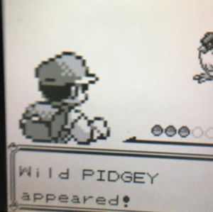 Meet your Posher, Caleb